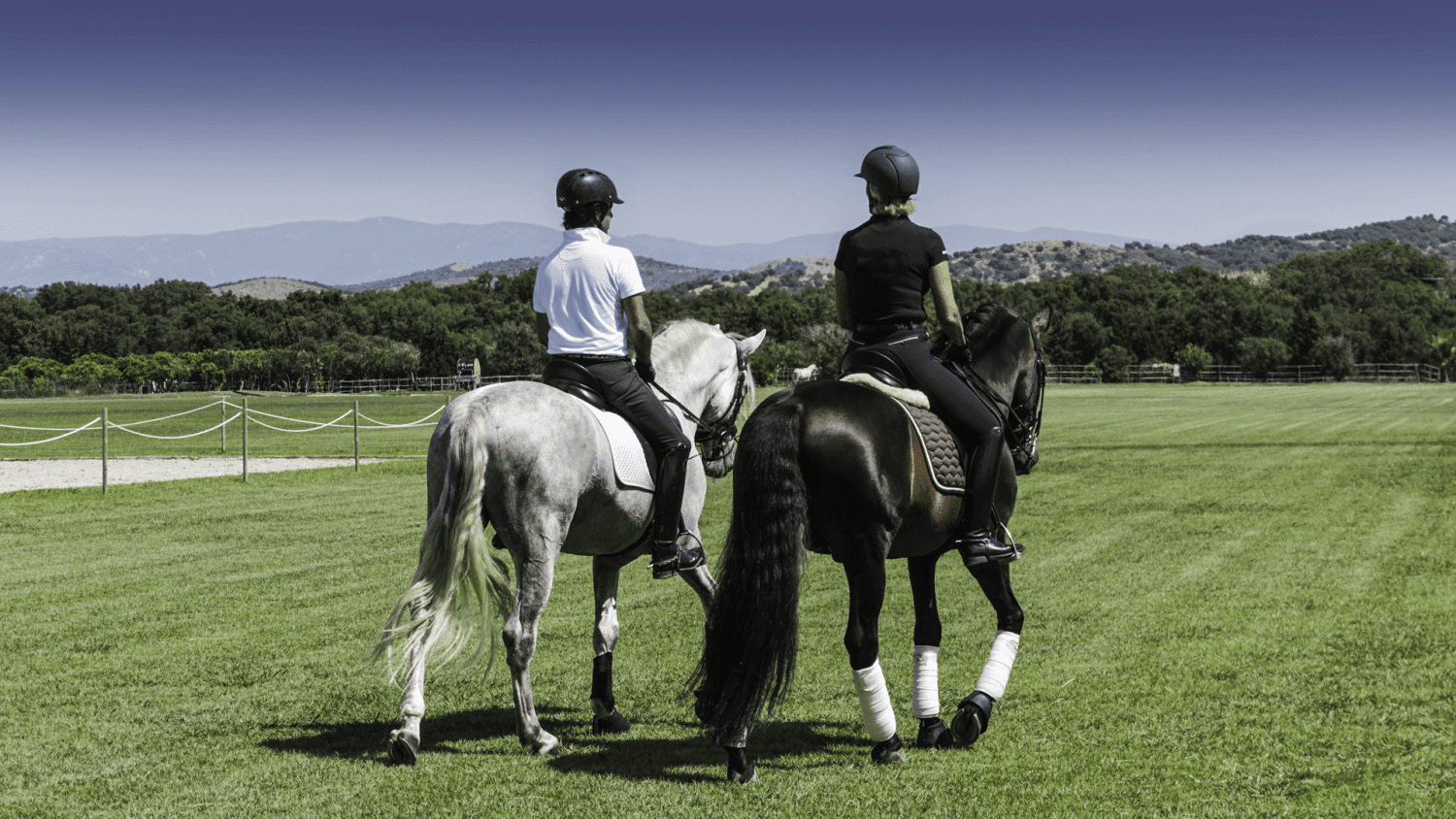 Dressage, Andalucia